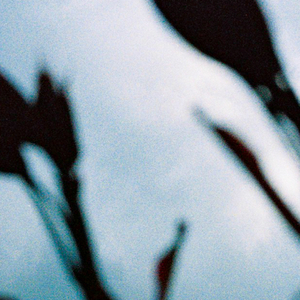 黑人操女人屁眼
