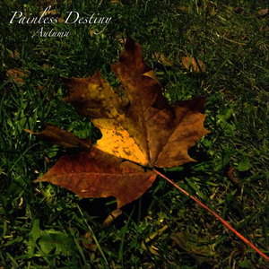 黑人操女人屁眼
